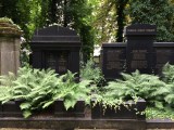Franz Kafka and the New Jewish&nbsp;Cemetery