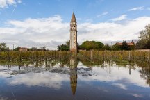 small copy-Acqua alta a Venissa 011 - Photo copyright Mattia Mionetto
